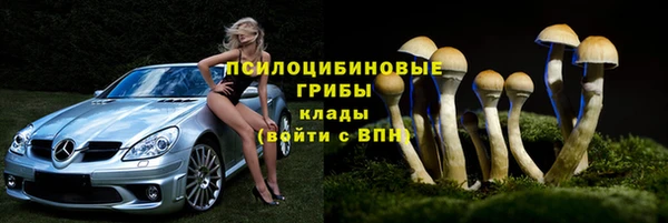 гашик Киреевск