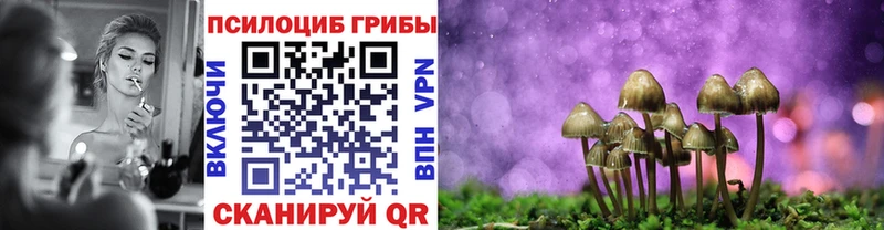 Купить  Грязи  Галлюциногенные грибы Magic Shrooms 